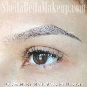 permanentbrowshair88b